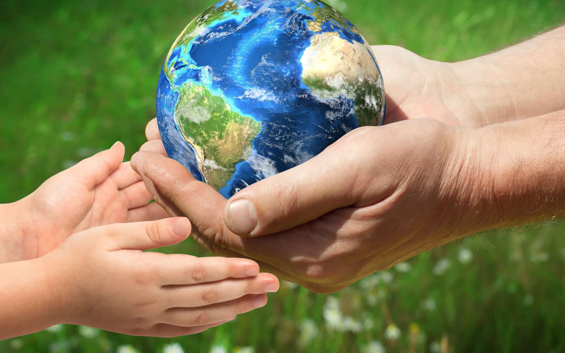 Une école pour faire du business ou changer le monde ?