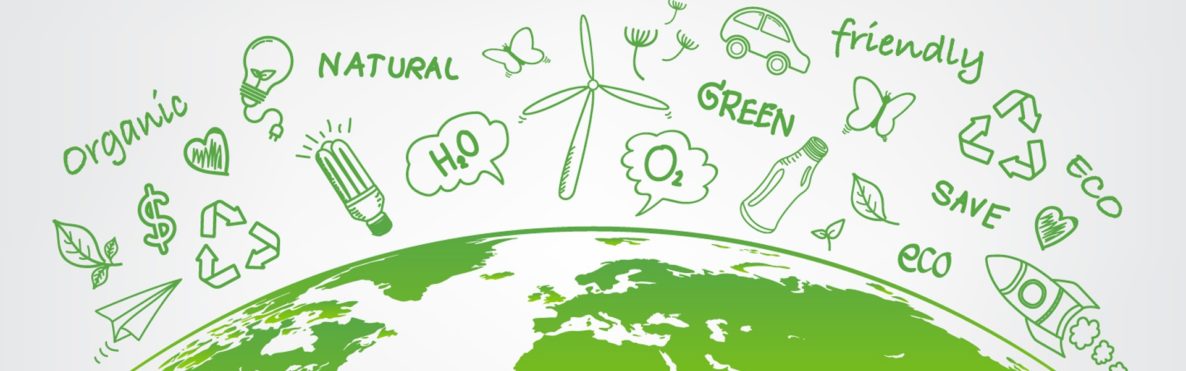 Des écoles plus que jamais engagées dans le développement durable !