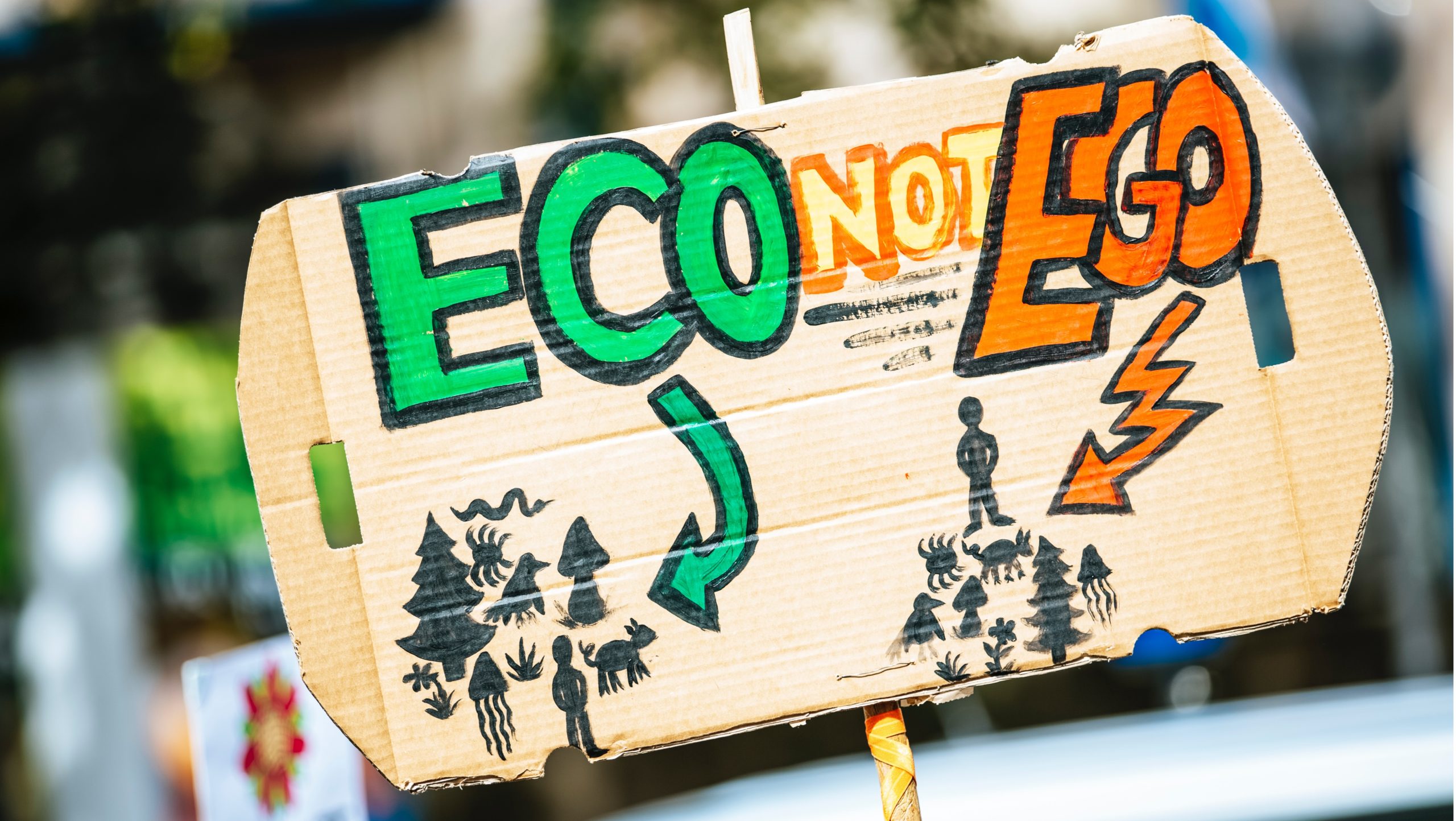 L’impact des écoles de commerce dans la transition vers la décarbonation de l’économie ?