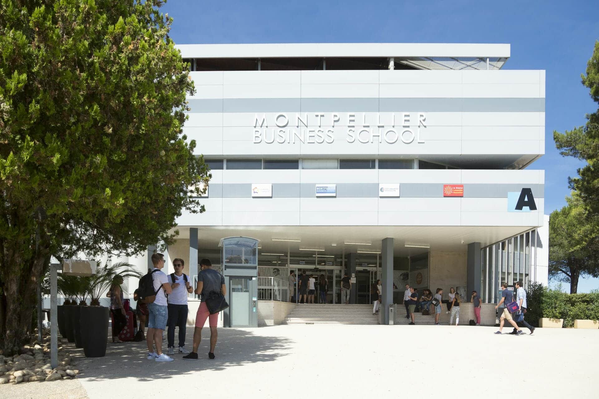 Les alternants du Bachelor de MBS s’envolent vers Dakar
