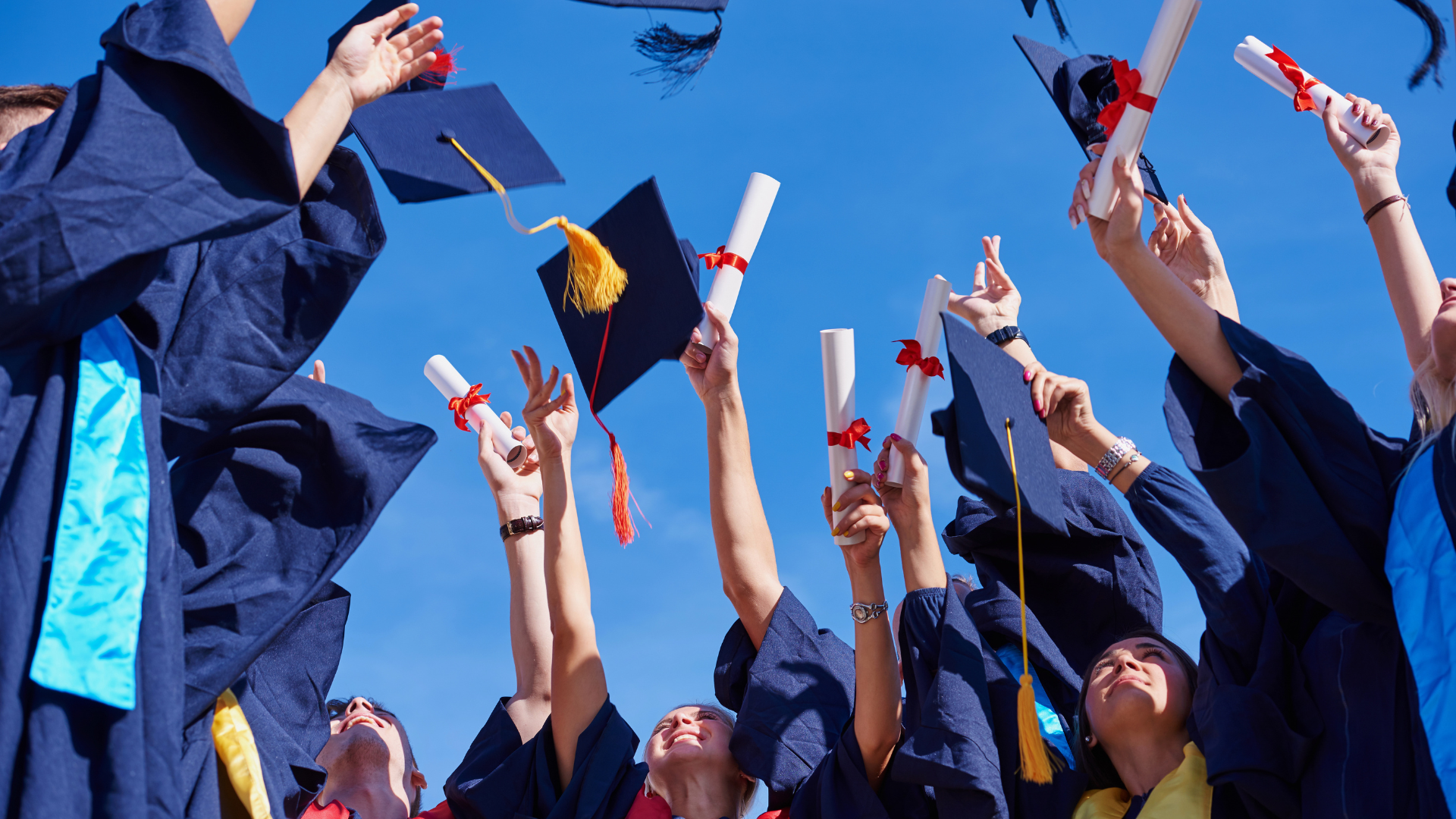 Classement Le Point 2024 des Bachelors en 4 ans