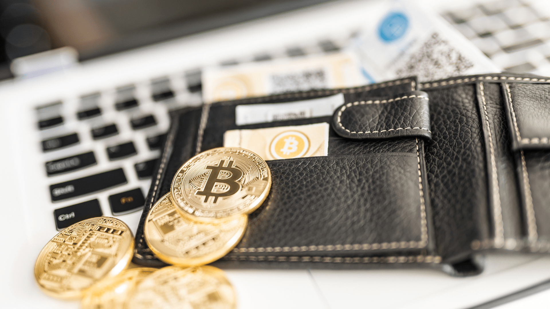 Les meilleurs wallets crypto pour étudiants en école de commerce : Avis et comparatifs