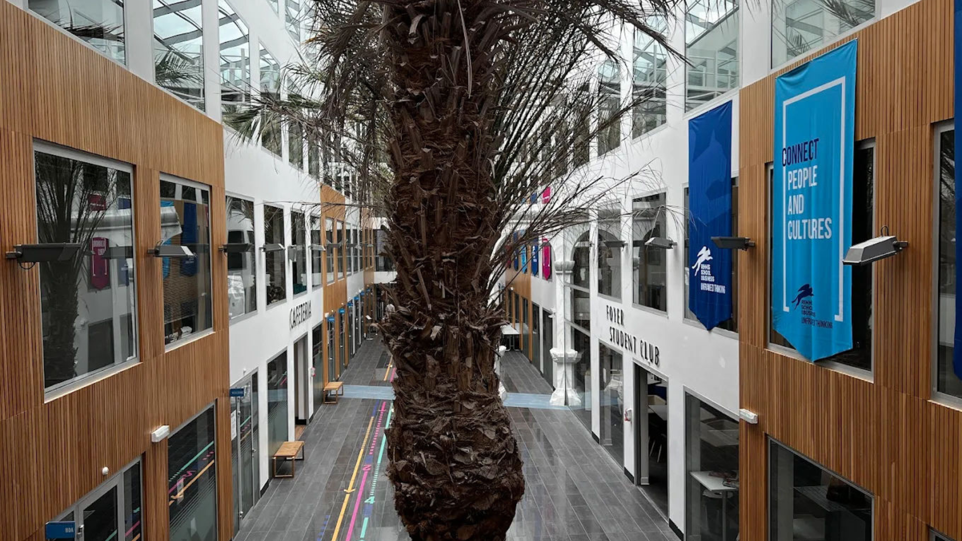 RSB : le guide pour réussir les oraux