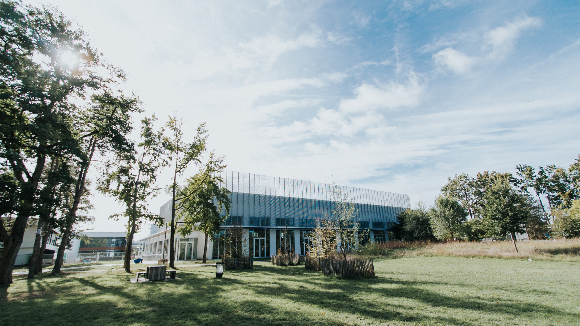 ESSEC BUSINESS SCHOOL ONLINE EXECUTIVE MBA